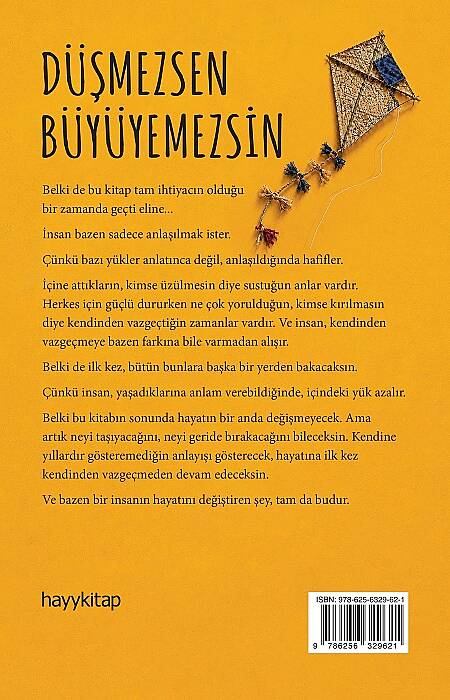 Düşmezsen Büyüyemezsin - Emre Gürlek - Kitap Kapak Görseli 2