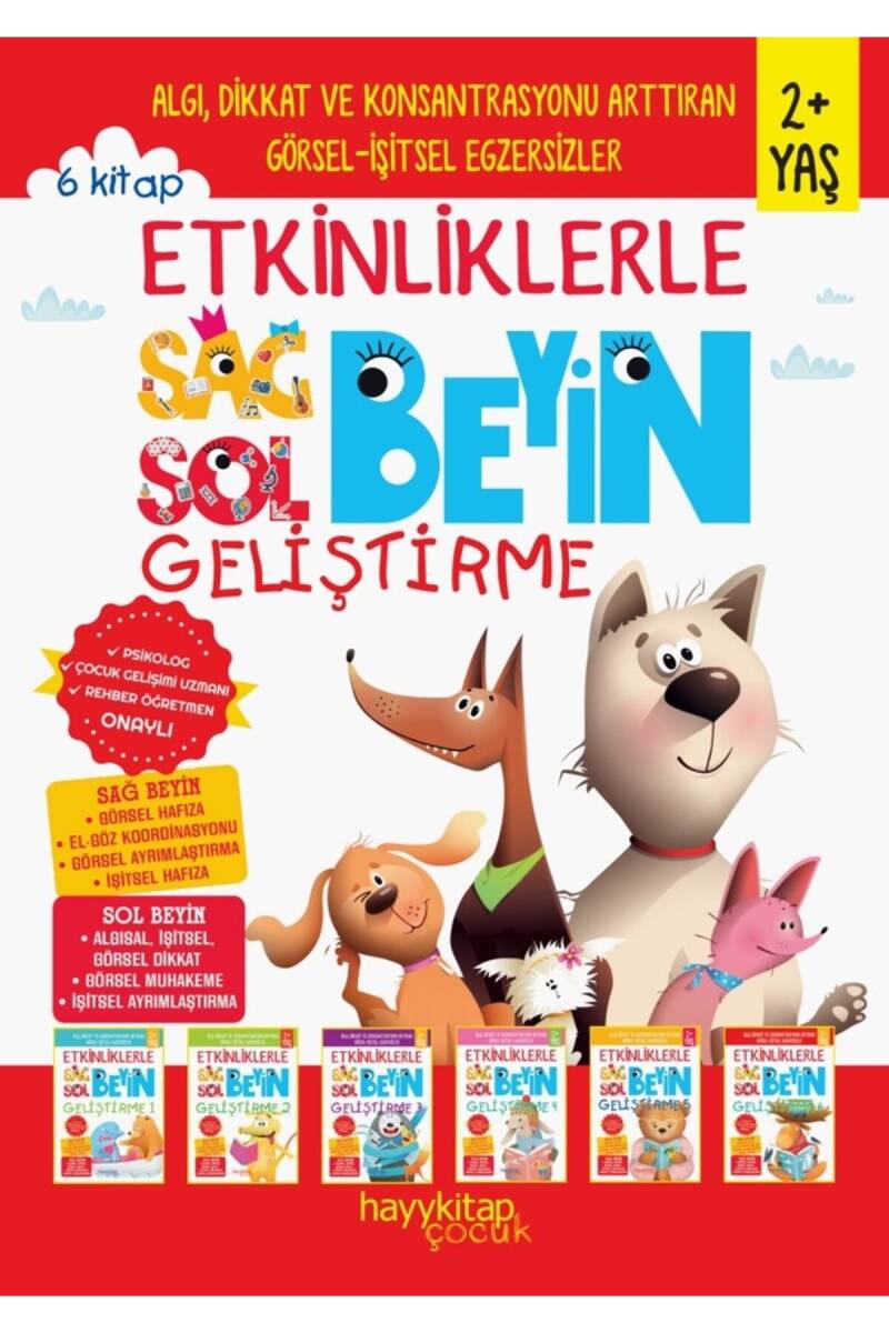 Etkinliklerle Sağ Beyin Sol Beyin Geliştirme (2+ Yaş) 6’lı Set - Canan Öztürk - Kitap Kapak Görseli 1